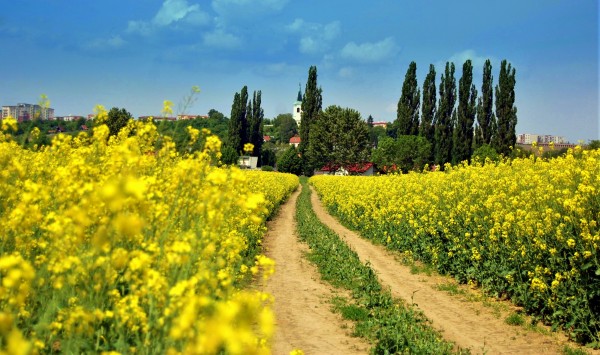 Cyklostezky a cyklotrasy na území města