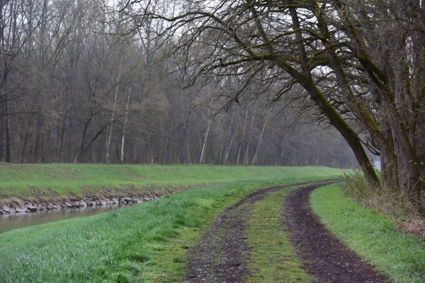 Cyklostezky a cyklotrasy na území města
